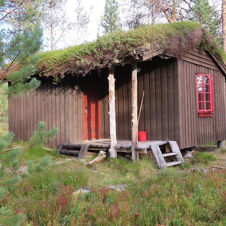 Hov Hyttegrend Viksdalen الغرفة الصورة