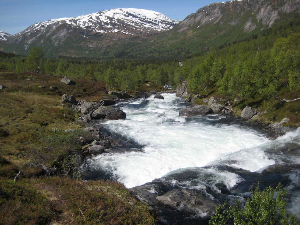 Hov Hyttegrend Viksdalen المظهر الخارجي الصورة