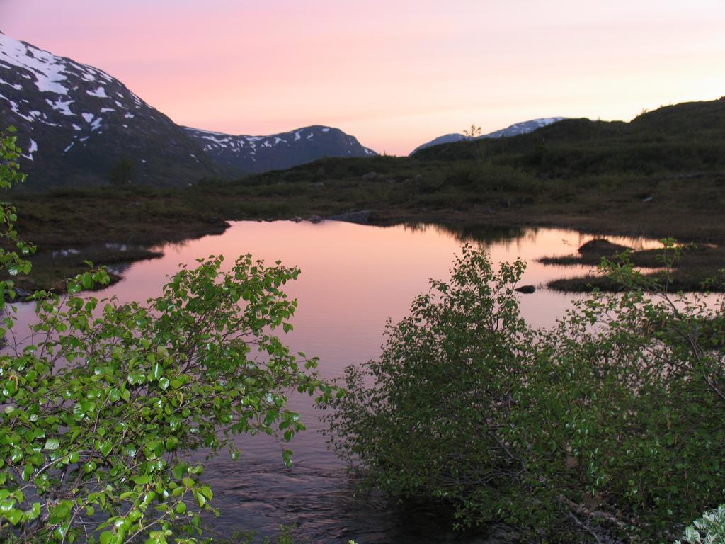 Hov Hyttegrend Viksdalen المظهر الخارجي الصورة