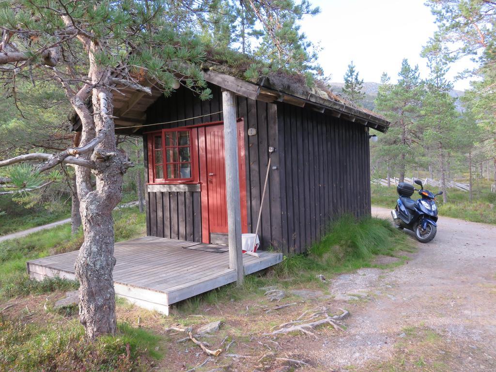 Hov Hyttegrend Viksdalen المظهر الخارجي الصورة