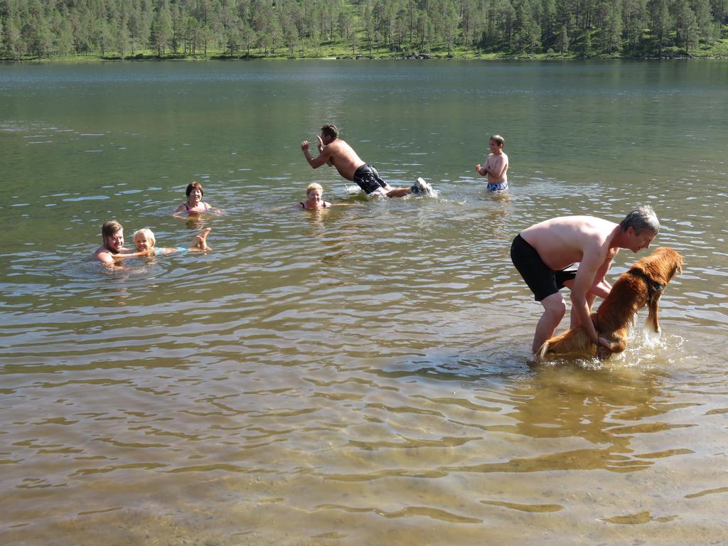 Hov Hyttegrend Viksdalen المظهر الخارجي الصورة